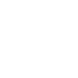 Why Choose Icon - Your customer data is in good hands. Robust security and privacy measures are at the heart of all our solutions.