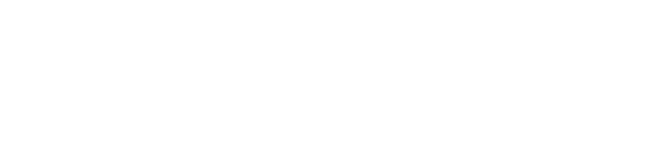 Lodestone Solutions Logo